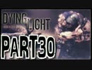 【実況】ノリと勢いで乗り切る PART30【Dying Light】