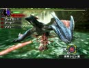 【MHX体験版】ナルガクルガ ブシドー太刀 アイテム有り