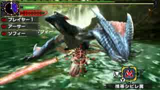 【MHX体験版】ナルガクルガ ブシドー太刀 アイテム有り