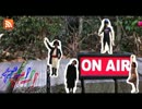 ガー!ガー!!ガー!!!×RADIO：第204回(ハナコ秋山×浦島こうじ：即興コント)