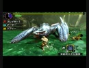 【MHX体験版】 ナルガクルガ RTA ストライカー片手剣 0分針