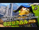 【MHX】 ホロロホルル　ブシドー太刀　02:40
