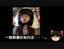 【ゆっくり保守】五寸釘ほなみ、戦没者に対し言いたい放題。