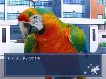 【実況】鳥を取り合う恋愛ゲーム【鳥愛学園】