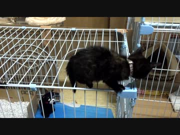 怖くないもん！