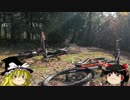 おっさんとMTBのある休日9