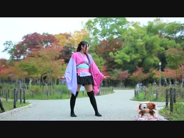 【くつしたちゃん】六兆年と一夜物語【踊ってみた】