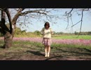 【朔耶＊】　‐恋空予報‐　【踊ってみた】