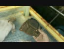 死んだら生き返らないFallout4 part8