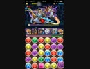 【パズドラ】ゼウス＆ヘラ降臨【ハロウィンカーリー】