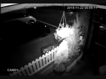 [監視カメラ] 畑から抜いてきた野菜をボンネットの上に置くカップル