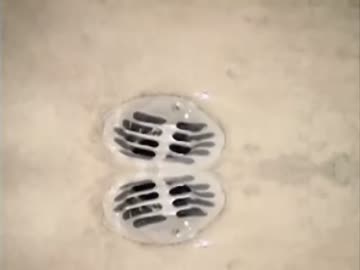 D.R.ハイスイコーは名脇役なのか？最終鬼畜シャワー.P