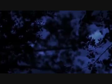 真夏の世の淫夢 第一話「タドコロ」（再）