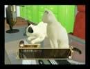 コミュニティレギュラー放送　第208回　女番社長レナ②