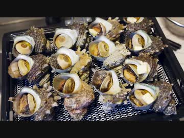 ASMR サザエのつぼ焼きで大勝利のはずが...