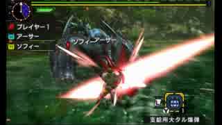 【MHX体験版】ナルガクルガ ブシドー片手剣 4’58