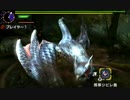 【MHX体験版】マルチナルガ　ブシドー双剣で挑んでみた