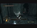 【実況】適応初期値どっすん盾なし装備でﾀﾞｰｸｿｳﾙ2 PS4版攻略#19