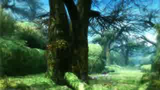 【PSO2】TIMELAPSE PSO2　森林