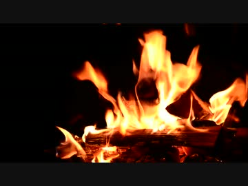 ソロキャンプって最高ですよね。「川湯野営場 木魂の里」