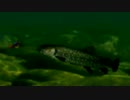 友人と釣りゲー「ＦＩＳＨ　ＥＹＥＳ」をプレイpart3　イワナ