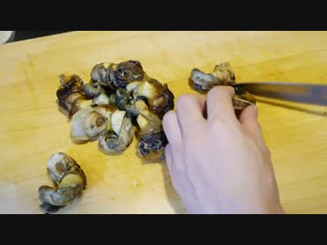 ASMR ふるさと納税で サザエ丼