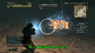 DDON確認？動画（ダウン→石化→凍結）
