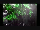 【自作曲】楓日和
