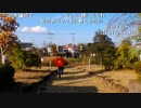 ハシケン 「鬼を祀る神社と紅葉の嵐山渓谷」のち周辺散歩1/13