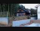 ハシケン 「鬼を祀る神社と紅葉の嵐山渓谷」のち周辺散歩4/13