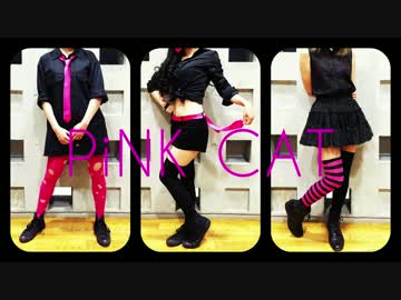 【DL-orchid】PiNK CATを踊ってみた