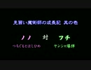【東方VISION】見習い魔術師の成長記 其の壱