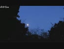 ハシケン 「鬼を祀る神社と紅葉の嵐山渓谷」のち周辺散歩6/13