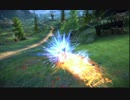 【tera】エフェクトバグ【ファイター編】