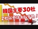 【韓国主要３０社】 ２社以外はキムチ色！