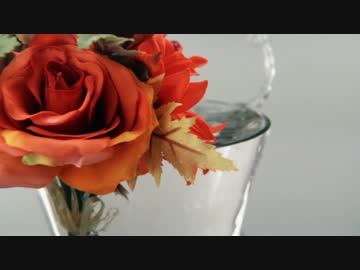 【初音ミク】アクアノート1/f