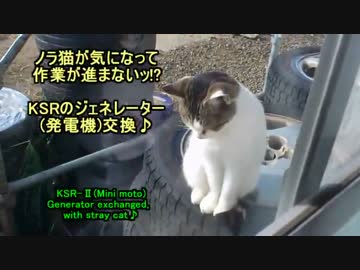 ノラ猫が気になって作業が進まないッ!? 　KSRのジェネレーター交換♪
