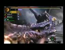 [MH4G]モンハン新作に備えてみた　part8
