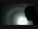 理想論 歌ってみた【りお】
