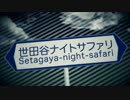 世田谷ナイトサファリ 歌ってみた【りむかいちょ】