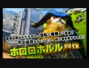 【MHX体験版】ホロロホルル討伐　エリアル双剣　2’59