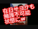 【速報】朴大統領、“反政府デモ禁止制度”を導入！！本当の独裁!!
