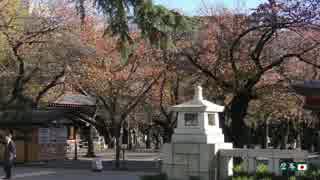 【2015/11/27】靖国神社：秋（スライド版）