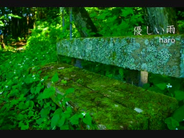 優しい雨 / haro