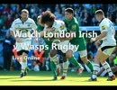 Live Rugby Irish vs Wasps Rugby