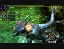 【MHX】ナルガ　エリアル大剣　罠無し