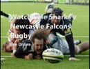 watch Sale Sharks vs Newcastle Falcons Rugby live streaming