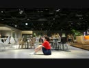 【スルースキルズ】lllトゥルティンアンテナlll踊ってみた【みぃも。】