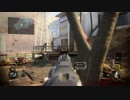 BO3リス問題.mp4（ツ）←人の顔に見える