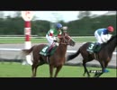 【競馬】2015年 京都2歳S ドレッドノータス【GⅢ】